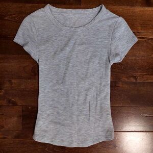 American Eagle Outfitters Gray Fitted Short Sleeve T-Shirt